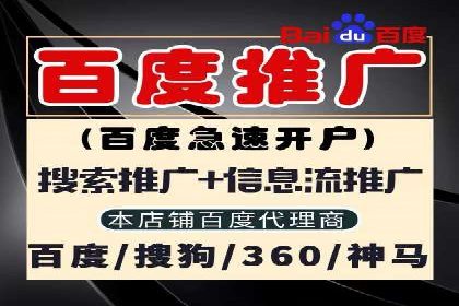汽车行业SEM服务营销策略及效果展示